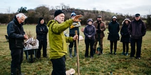Charity funding appeal for vast new forest of 1,000 trees 