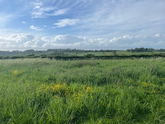 Packsaddle Fields