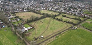 Publicly-owned fields cannot be sold to prevent development