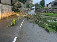 Storm Darragh recap as buildings destroyed and trees felled
