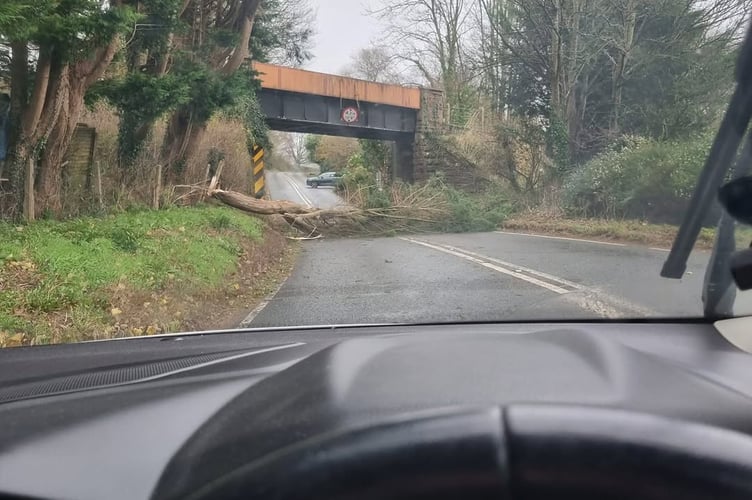 Tree fell on A358