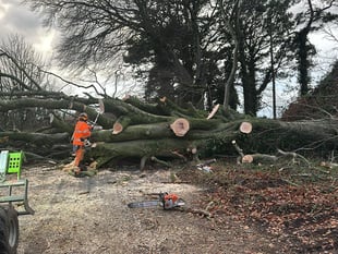 Crews working to clear 400 fallen trees after 89mph winds strike