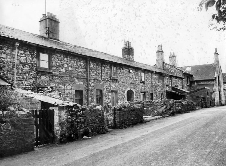 Can you identify this week's Mystery Photograph?