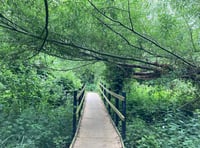 Crowdfunder launched to secure land near River Frome as public space
