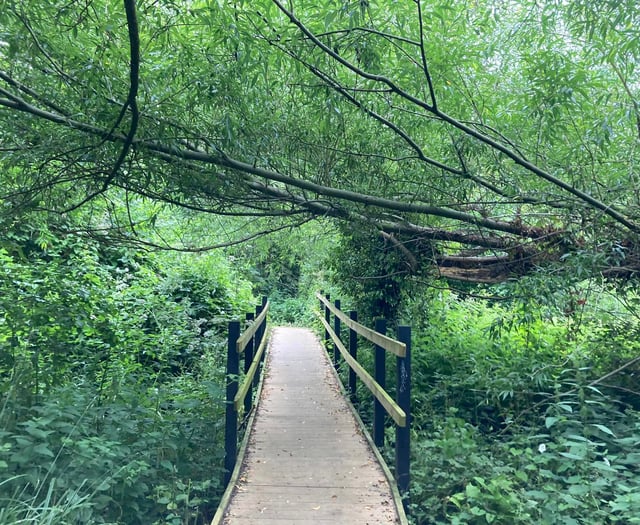 Crowdfunder launched to secure land near River Frome as public space