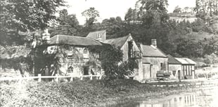 Can you identify this week's Mystery Photograph?