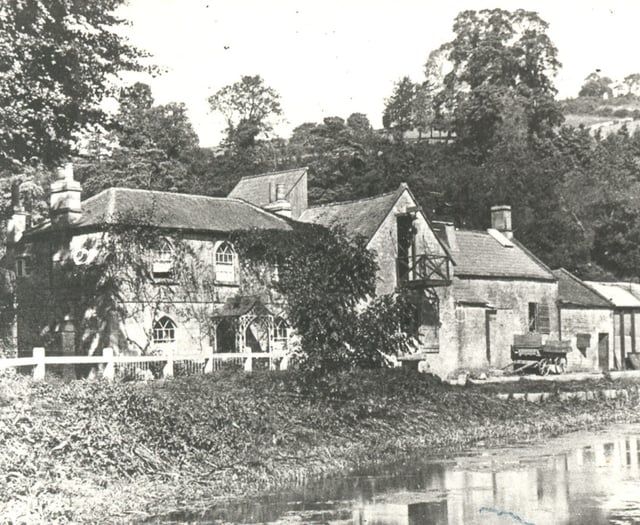 Can you identify this week's Mystery Photograph?