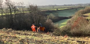 Scrub removal taking place in Midsomer Norton and Radstock