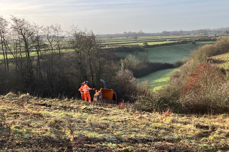 Somer Valley Rediscovered are conducting scrub removal in Midsomer Norton and Haydon Batch over January