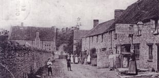 Can you identify this week's Mystery Photograph?