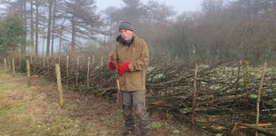 Chew Valley Plants Trees Column February 2025