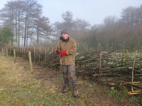 Chew Valley Plants Trees Column February 2025