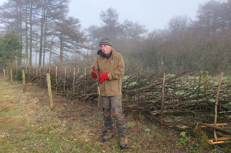 Chew Valley Plants Trees column February 2025