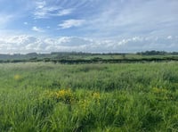 Council silent on value of Frome green space after plans rejected