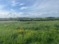Council silent on value of Frome green space after plans rejected