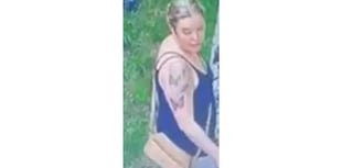 Police appeal after child attacked by dog in Somerset