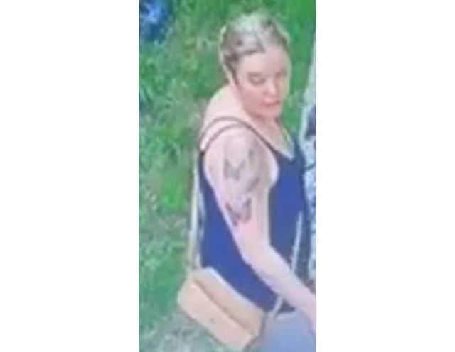 Police appeal after child attacked by dog in Somerset