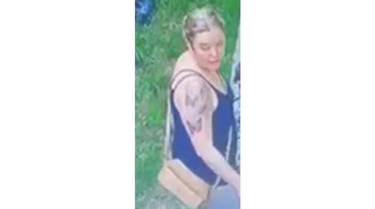 Police have issued a picture of a woman officers would like to speak to after a child was attacked by a dog in Wincanton