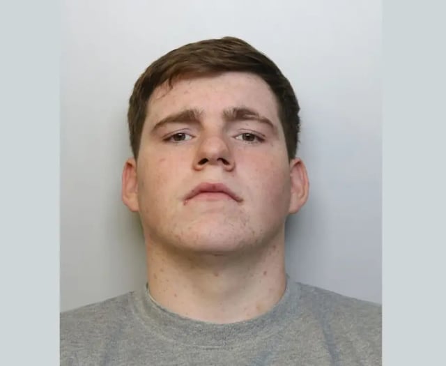 Man, 18, sentenced after crashing into boy, four, before fleeing scene