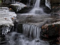 Roy Carr inspires NRPS to see photography differently