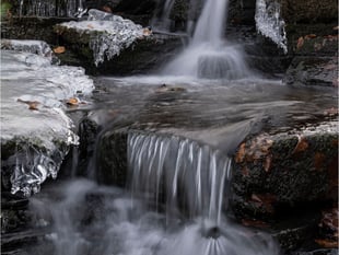 Roy Carr inspires NRPS to see photography differently