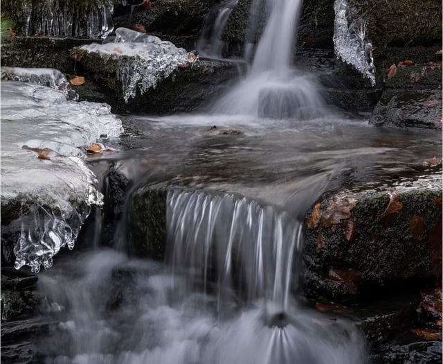 Roy Carr inspires NRPS to see photography differently