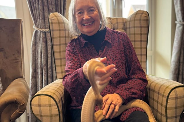 Care home plays host to range of snakes and spiders and other animals