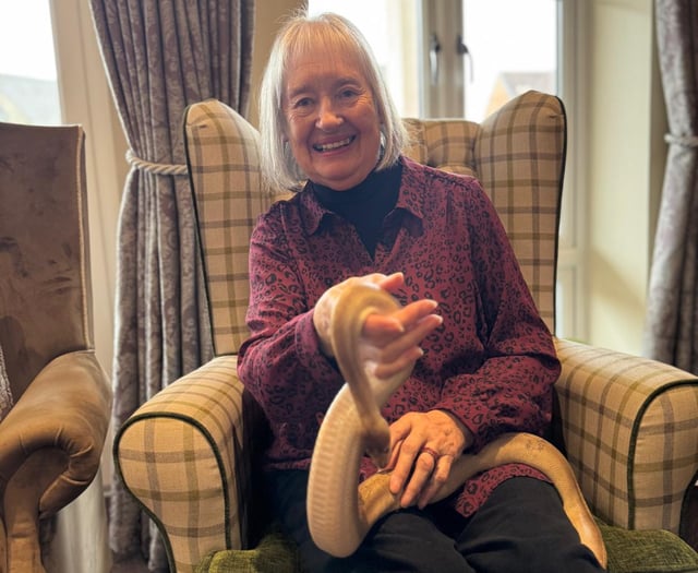 Care home plays host to range of snakes and spiders and other animals
