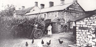 Can you identify this week's Mystery Photograph?