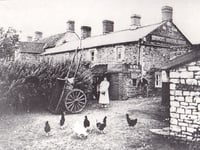 Can you identify this week's Mystery Photograph?