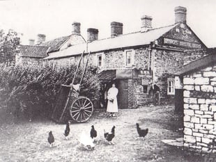 Can you identify this week's Mystery Photograph?