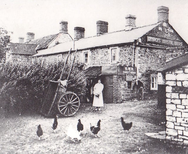 Can you identify this week's Mystery Photograph?