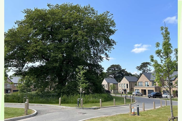 Artist's impression of new homes on the B3090 Oldford Hill in Frome (Graphic: Barwood Land)