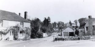 Can you identify this week's Mystery Photograph?