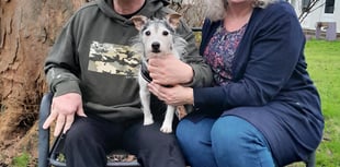 Rescue dog lifts spirits of people with learning disabilities