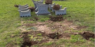 Police appealing for witnesses following park vandalism