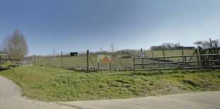Rescued tiger to start new life at Noah’s Ark Zoo Farm