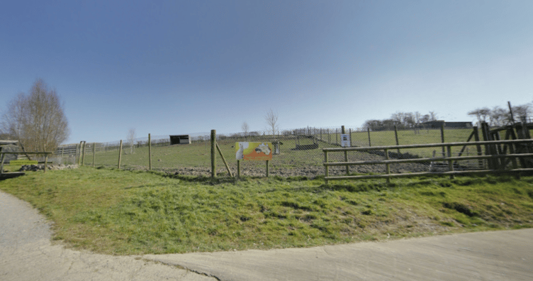 A rescued tiger will soon move to a new habitat at Noah’s Ark Zoo Farm.