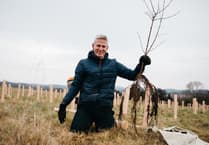 Record breaking day of planting achieved by Avon Needs Trees