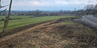 Hedgerow removed in Castle Cary due to housing concerns
