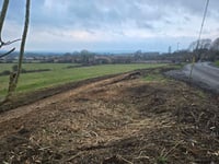 Hedgerow removed in Castle Cary due to housing concerns