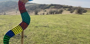 'Arty adders' appear across hills to raise awareness of rare species