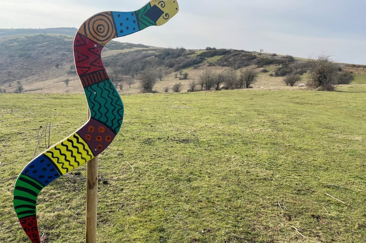 Colourful wooden adders placed at over 10 nature reserves along the Mendip slopes including Crook Peak, Draycott Sleights and Deer Leap.