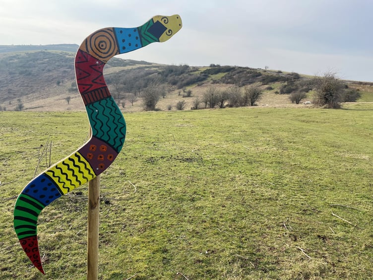 Colourful wooden adders placed at over 10 nature reserves along the Mendip slopes including Crook Peak, Draycott Sleights and Deer Leap.