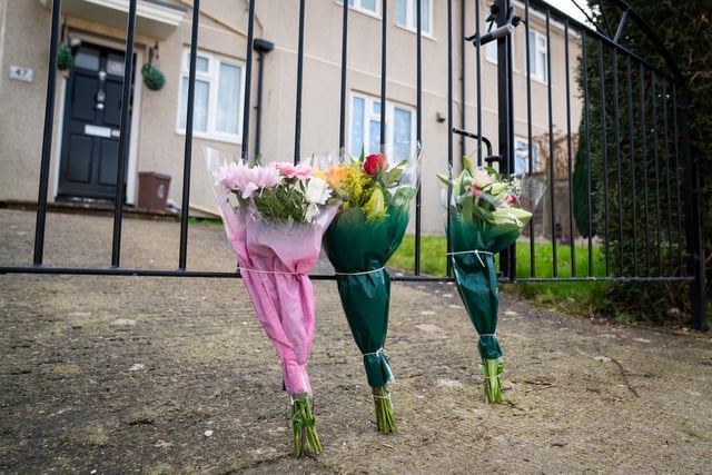 Dog which killed girl, 19, confirmed as XL Bully owned by cousin