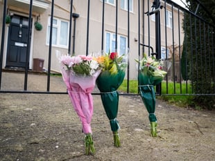 Dog which killed girl, 19, confirmed as XL Bully owned by cousin