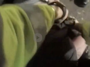 Video shows moment police officer used 'force' to push woman to ground