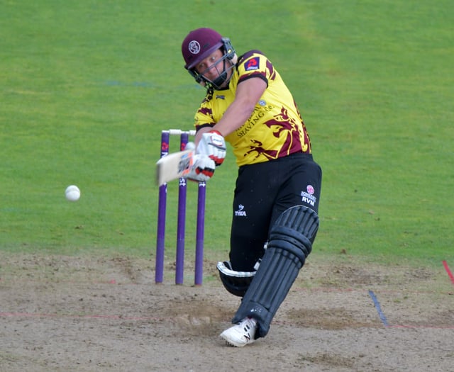 Veteran Roelof van der Merwe leaves Somerset 