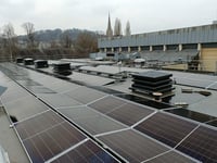 Council sets out plans for future climate and nature investment 