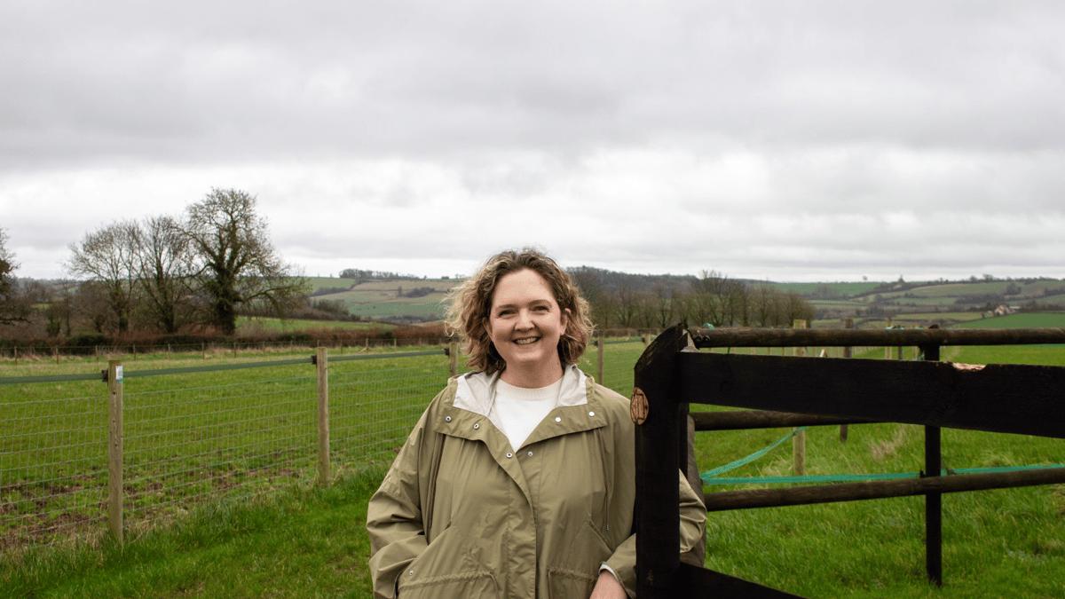 Somerset Lags in Mental Health and SEND Care, Government Data Shows